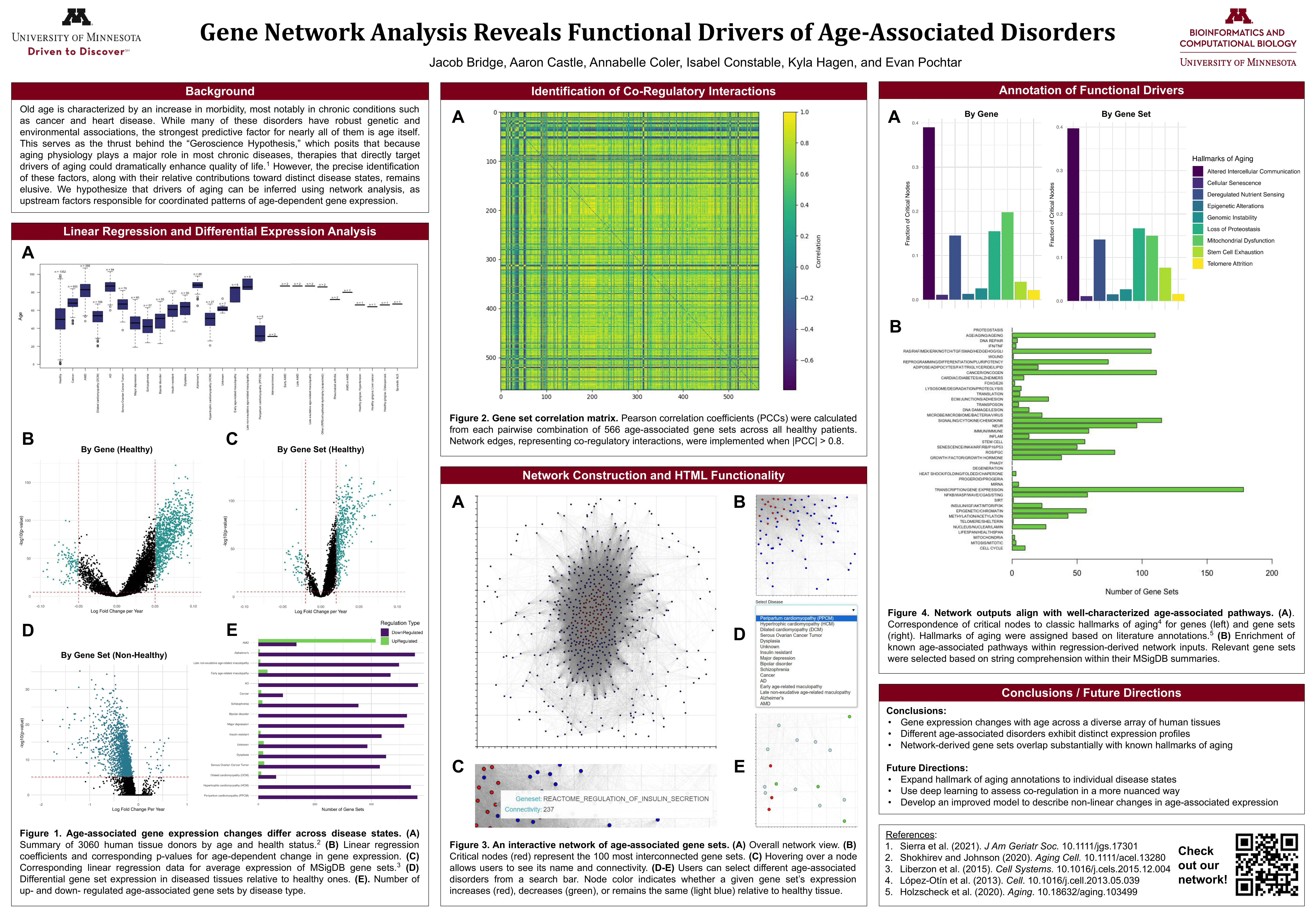 Age Investigation Poster